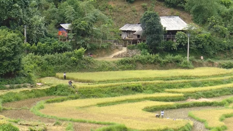 Chính quyền địa phương luôn quan tâm, hướng dẫn kỹ thuật giúp người dân phát triển nông nghiệp.