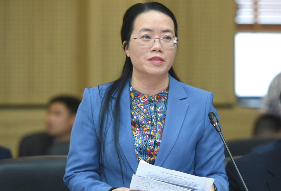 Bà Phạm Hải Hoa, Chủ tịch Hội Nông dân TP Hà Nội. Bà Phạm Hải Hoa, Chủ tịch Hội Nông dân TP Hà Nội.