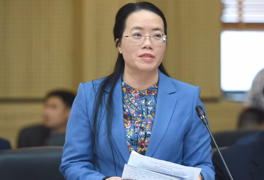 Bà Phạm Hải Hoa, Chủ tịch Hội Nông dân TP Hà Nội.