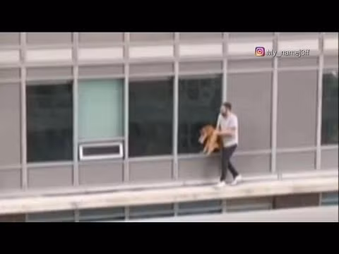 Người đàn ông mạo hiểm để bế mèo cưng về