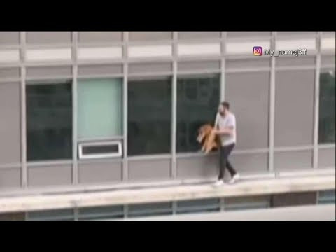Người đàn ông mạo hiểm để bế mèo cưng về Người đàn ông mạo hiểm để bế mèo cưng về