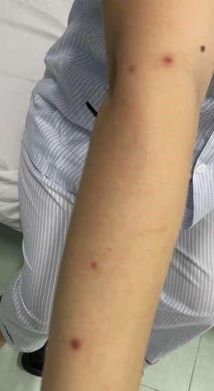 Ảnh: BV. Ảnh: BV.