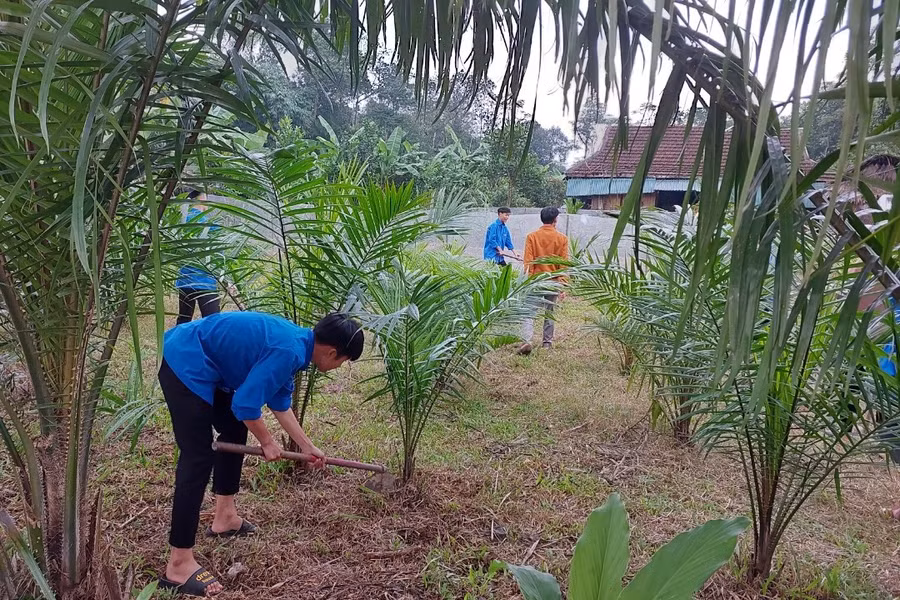 Giáo viên và học sinh Trường THPT Cao Thắng tích cực xây dựng môi trường học tập xanh.