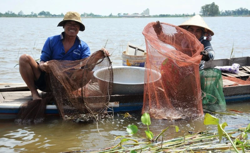 Mùa lũ với nhiều sản vật, cá tôm giờ ngày càng xa vời với người dân miền Tây. 