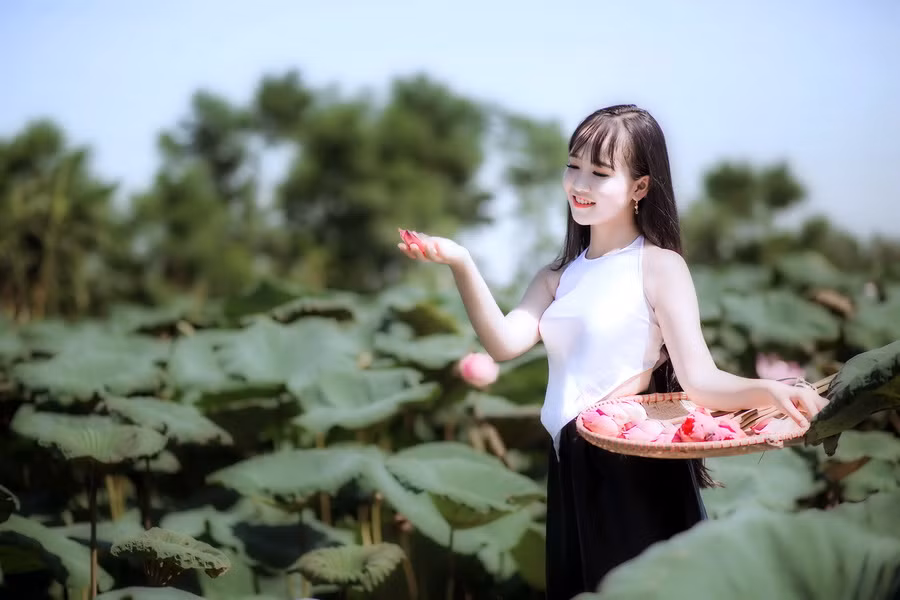 Thần đồng Bolero Kim Chi khoe vẻ đẹp trong veo bên hồ sen quê nhà ảnh 5