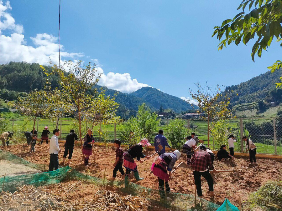Giáo viên, phụ huynh Trường PTDTBT THCS Khao Mang (Mù Cang Chải, Yên Bái) cùng rẫy cỏ vườn trường.