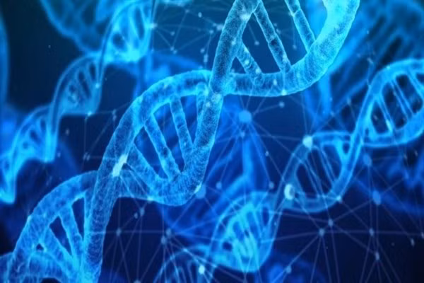 Phương pháp giải trình tự gen nhanh