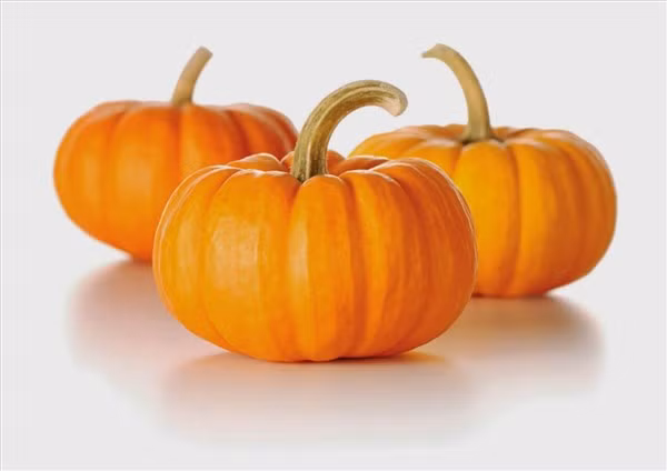 Bí đỏ là loại quả được trồng phổ biến ở nước ta.