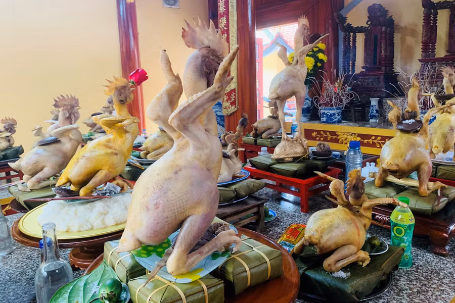 Việc tạo các thế gà độc đáo trên mâm cổ trở thành nét văn hóa của các dòng họ ở Hà Tĩnh (Ảnh: V.D).