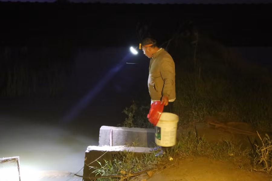 Mỗi người dân chia nhau từng cống nước để canh rươi.