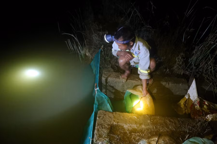 Khi nước lên, rươi theo vào ruộng, người dân dùng lưới để hứng rươi.