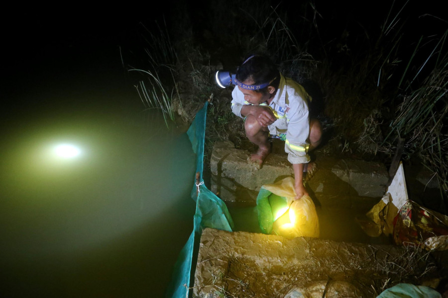 Khi nước lên, rươi theo vào ruộng, người dân dùng lưới để hứng rươi.