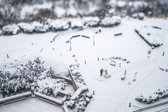 Những bức ảnh cưới lay động mọi trái tim ảnh 5