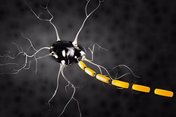 Một số protein có khả năng tác động vào các tế bào thần kinh trong não và ngăn cảm giác đau.