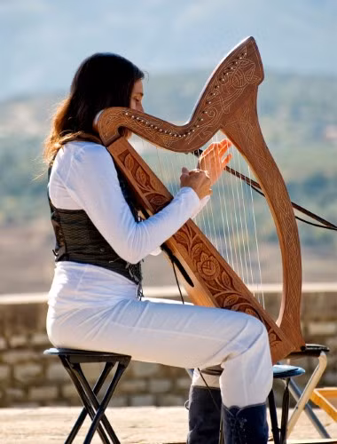 Duyên dáng đàn hạc Ireland ảnh 4