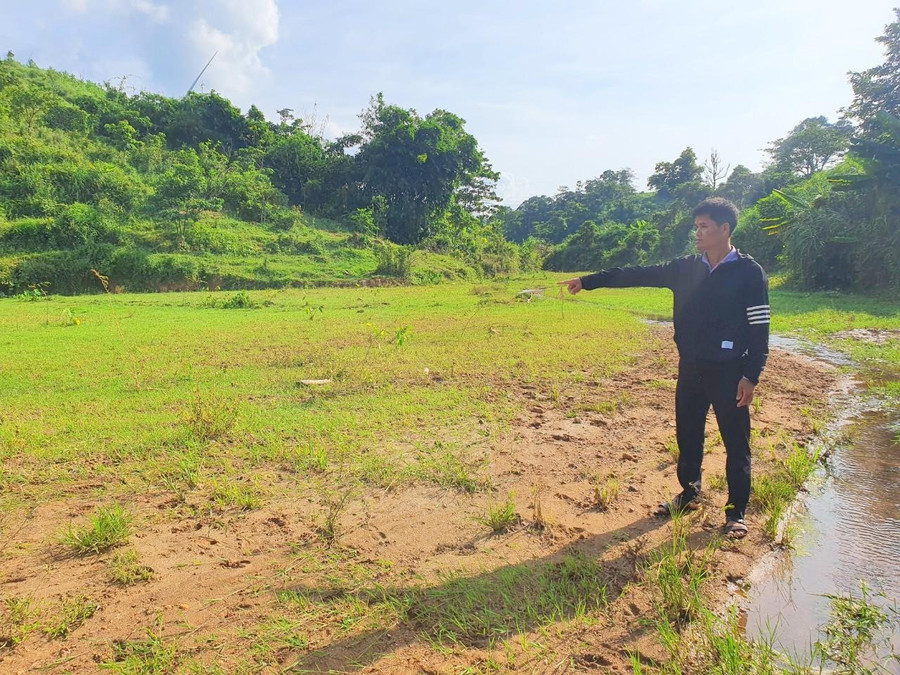 Ruộng lúa gia đình anh Hồ Văn Thọ bị vùi lấp nặng, không thể canh tác nhưng chỉ đền bù với số tiền ít ỏi. Ruộng lúa gia đình anh Hồ Văn Thọ bị vùi lấp nặng, không thể canh tác nhưng chỉ đền bù với số tiền ít ỏi.