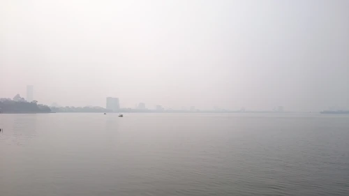 Kỳ lạ ‘bí kíp’ bẫy sâm cầm Hồ Tây tiến vua chỉ người Hà Nội có