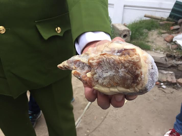 Quả tim lợn đã mốc xanh, mốc vàng