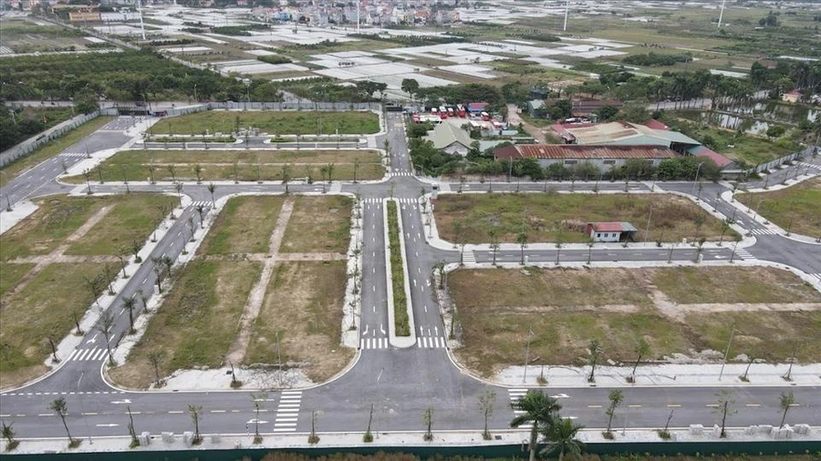 Lô đất liên quan trong vụ án. Ảnh: Cao Nguyên