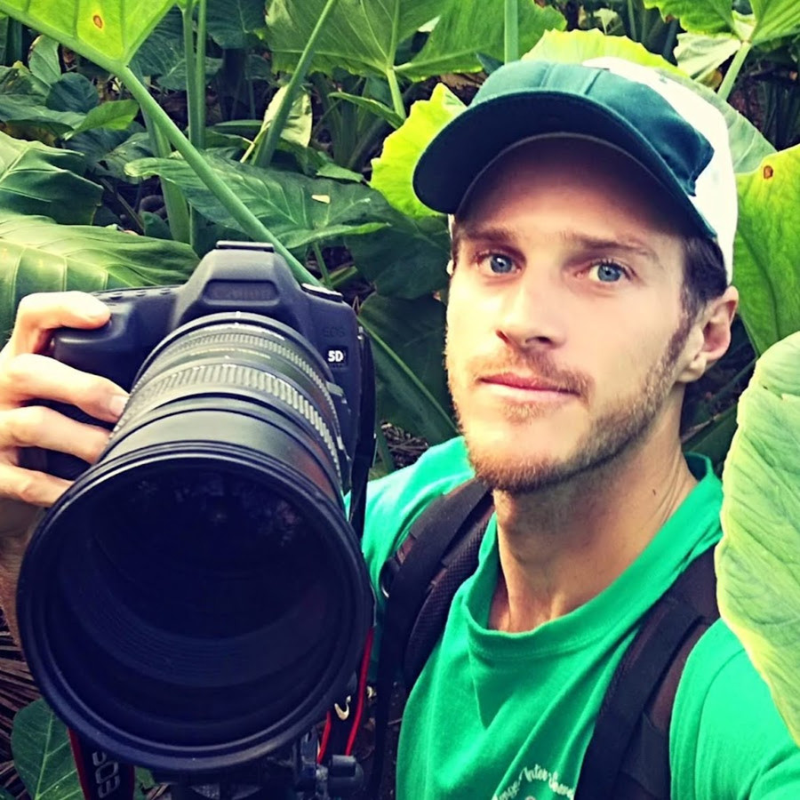 Nhà nghiên cứu môi trường Samuel Ravatua-Smith có nhiệm vụ quan sát tổ của vẹt lorikeet. Nhà nghiên cứu môi trường Samuel Ravatua-Smith có nhiệm vụ quan sát tổ của vẹt lorikeet.