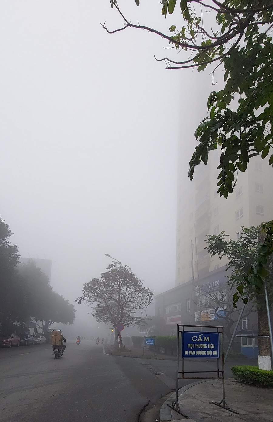 Nhờ nồm ẩm, Hà Nội có cơ hội được 'trải nghiệm' khung cảnh ở trên Sa Pa. Ảnh: Bình Thanh. Nhờ nồm ẩm, Hà Nội có cơ hội được 'trải nghiệm' khung cảnh ở trên Sa Pa. Ảnh: Bình Thanh.