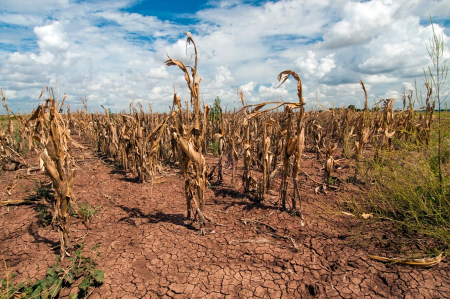 El Nino khiến Trái đất nóng kỷ lục.