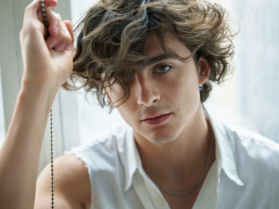 Timothée Chalamet xuất thân trong gia đình có truyền thống nghệ thuật. Ảnh: ITN.