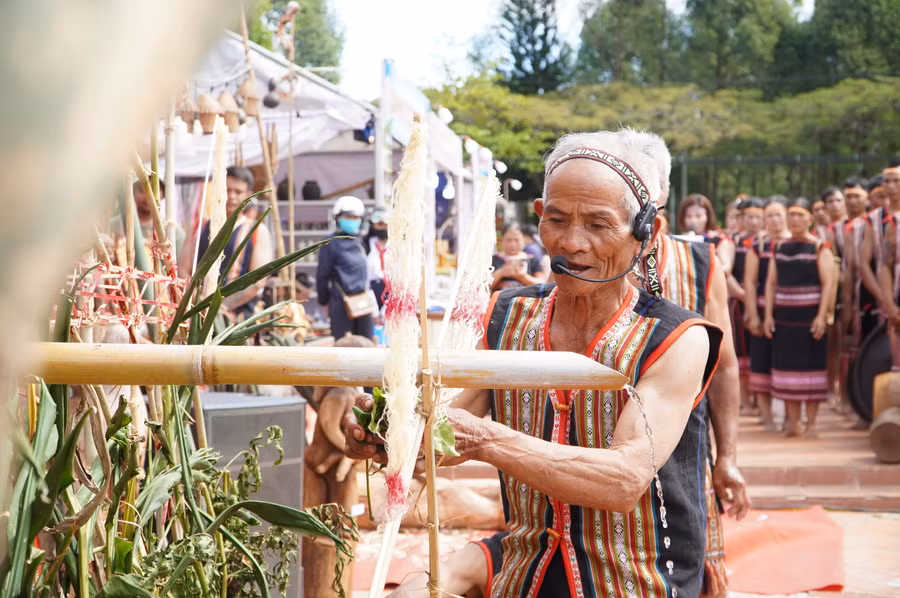 Già làng khơi thông giọt nước.