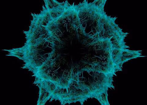 Sinh vật ngoài hành tinh có thể chỉ là vi sinh vật đơn bào