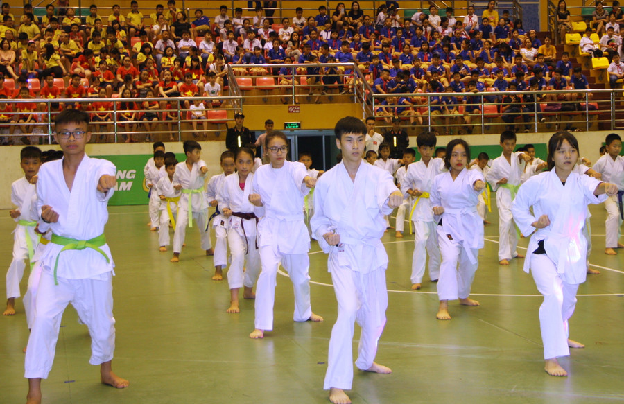 Màn đồng diễn võ thuật tại lễ khai mạc Màn đồng diễn võ thuật tại lễ khai mạc