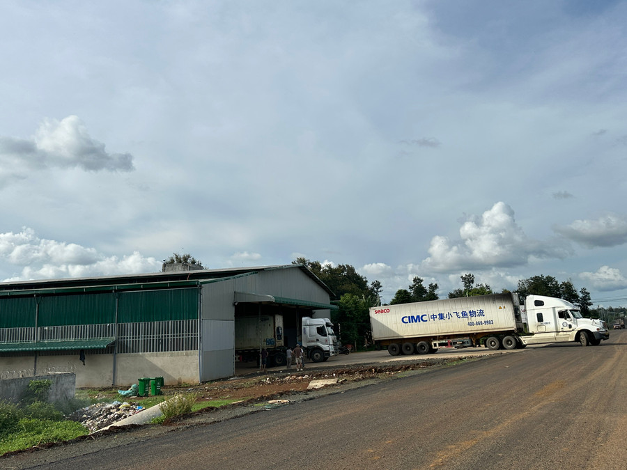 Một kho sầu riêng trái phép trên địa bàn huyện Krông Pắc. Ảnh: TT