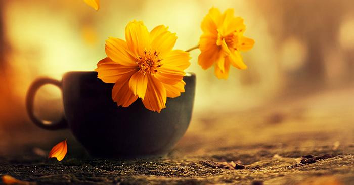 Phải biết trân trọng chính mình