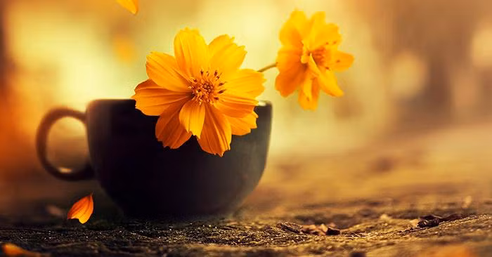 Phải biết trân trọng chính mình