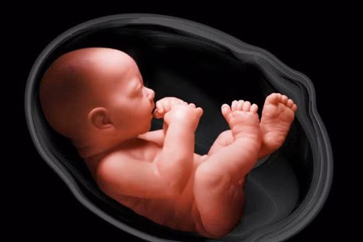 Các dấu hiệu cảnh báo mẹ biết thai nhi đang thiếu oxy