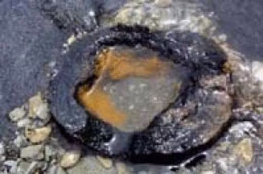 Rùng rợn những bí ẩn khoa học không thể lý giải ảnh 5