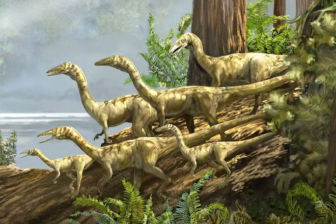 Ngỡ ngàng 10 sự thật về khủng long