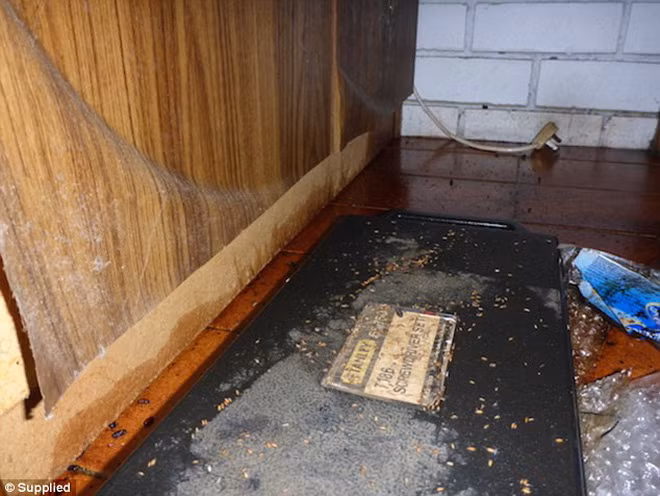 Nghề dọn dẹp hiện trường vụ án: Không yêu cầu bằng cấp, kiếm 1 triệu đô/năm nhưng luôn bị ám ảnh bới cái chết của các nạn nhân-7