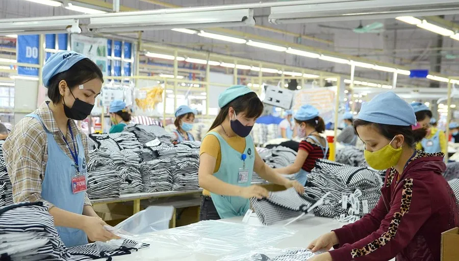 Lao động làm việc tại Nhà máy may của Công ty TNHH MTV Seshin VN2 tại Khu công nghiệp Long Bình An.