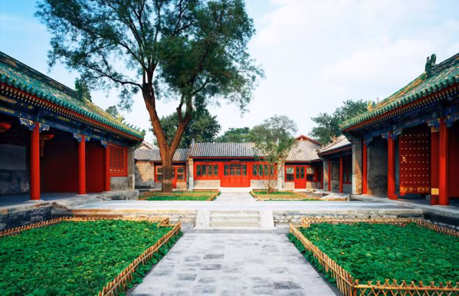 he lo cuoc song hoa le sau canh cua cac vuong phu nha thanh hinh anh 2