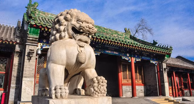 he lo cuoc song hoa le sau canh cua cac vuong phu nha thanh hinh anh 4