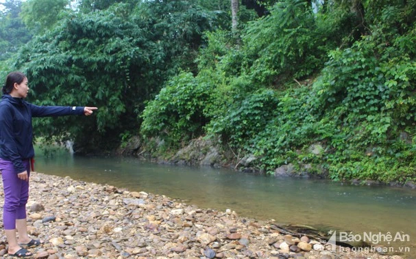 Khe Phèn - nơi cháu H. gặp nạn. Ảnh: Bảo Hân.