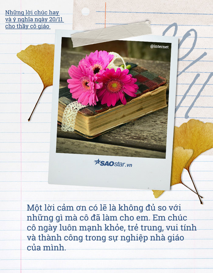 Những lời chúc hay và ý nghĩa ngày 20/11 cho thầy cô giáo ảnh 2