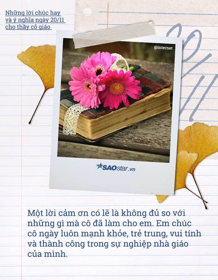 Những lời chúc hay và ý nghĩa ngày 20/11 cho thầy cô giáo ảnh 2
