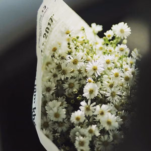 cho 1 thia muoi vao binh hoa cuc hoa mi, choi ca tuan khong thoi, khong hong, dep me li - 4