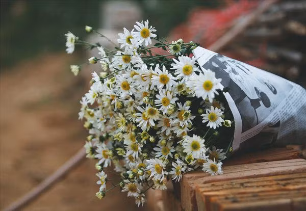 cho 1 thia muoi vao binh hoa cuc hoa mi, choi ca tuan khong thoi, khong hong, dep me li - 3