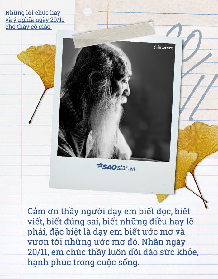 Những lời chúc hay và ý nghĩa ngày 20/11 cho thầy cô giáo ảnh 3