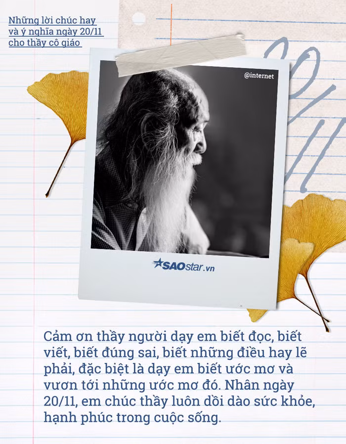 Những lời chúc hay và ý nghĩa ngày 20/11 cho thầy cô giáo ảnh 3