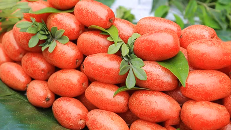 Thủy chung với... nhót