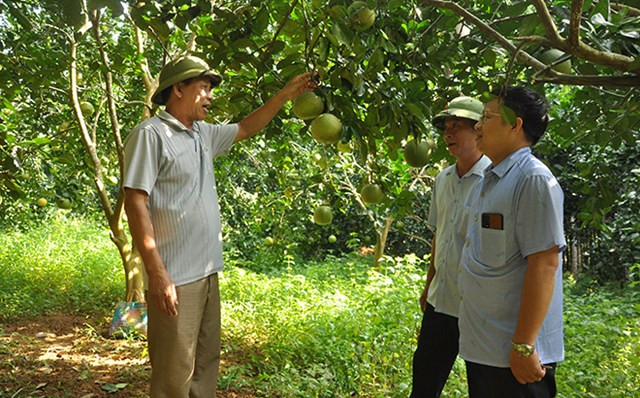 Trang trại của cựu chiến binh Nguyễn Ngọc Minh, thôn Làng Già, xã Yên Thắng, huyện Lục Yên, tỉnh Yên Bái