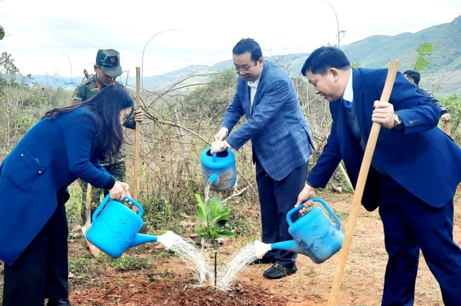 Lãnh đạo huyện Yên Châu trồng cây xà cừ tại bản Nà Khái, xã Sặp Vạt. Lãnh đạo huyện Yên Châu trồng cây xà cừ tại bản Nà Khái, xã Sặp Vạt.
